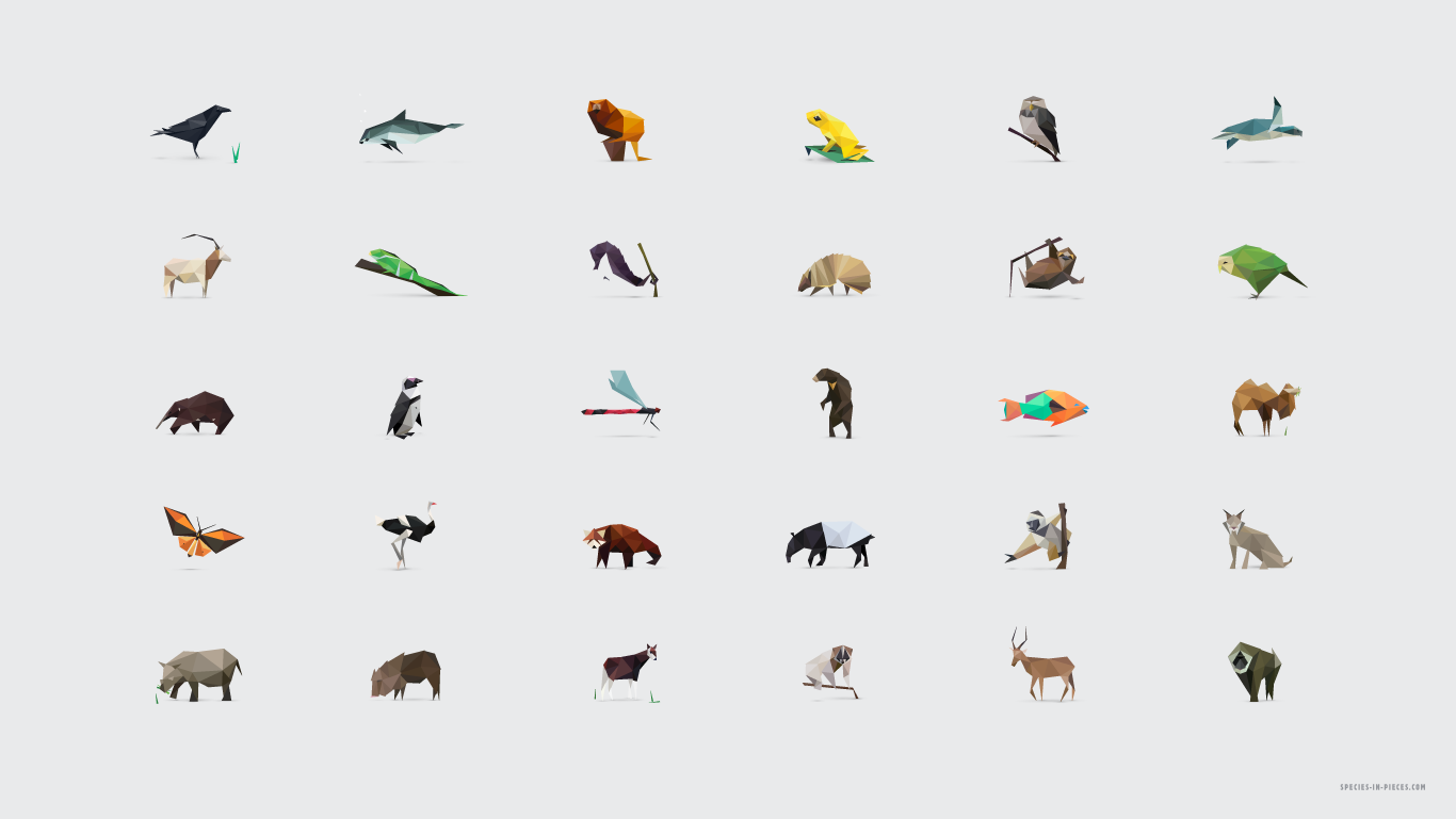 Wallpaper image all animals